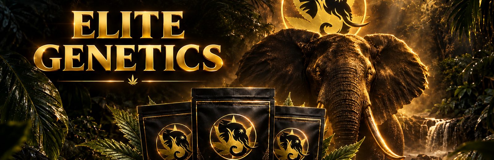 Black Elephant Genetics - Geneticas de elite